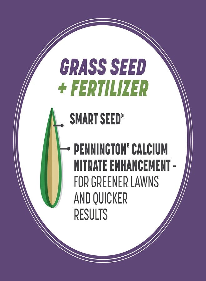 Pennington Smart Seed Dense Shade Grass Mix 3 lb - Image 4