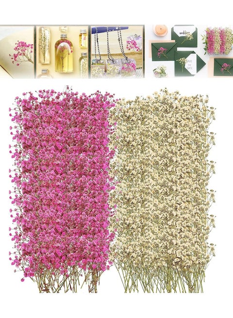 Mini Dried Baby's Breath Flowers for Resin Art Craft DIY for DIY Crafts Nail Art Candle Soap Making Phone Case Jewelry Pendant Floral Decors