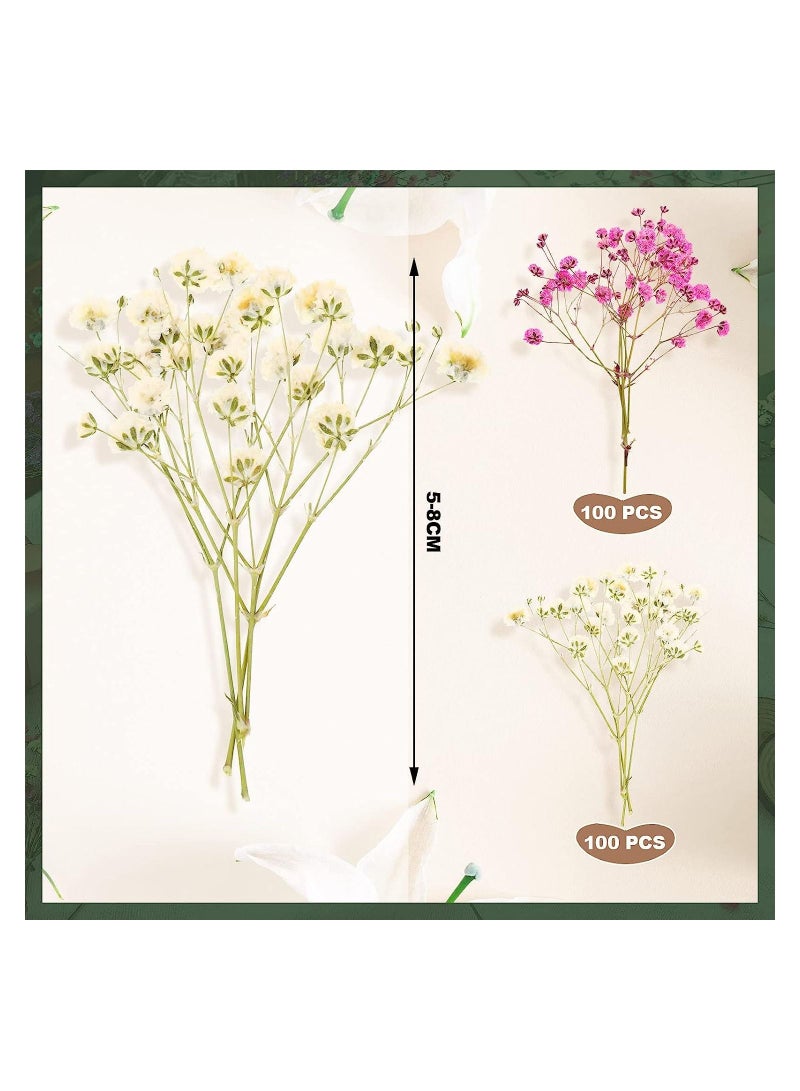 SYOSI Mini Dried Baby's Breath Flowers for Resin Art Craft DIY for DIY Crafts Nail Art Candle Soap Making Phone Case Jewelry Pendant Floral Decors - Image 4