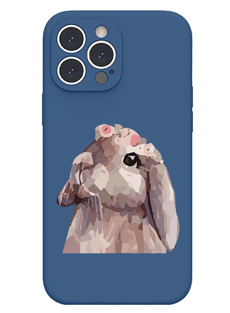 Theodor Protective Slim Fit Case Liquid Silicone Cover with Full Body Protection Anti-Scratch Shockproof Case For iPhone 14 Pro Max Blue  - Rainbow - Image 1