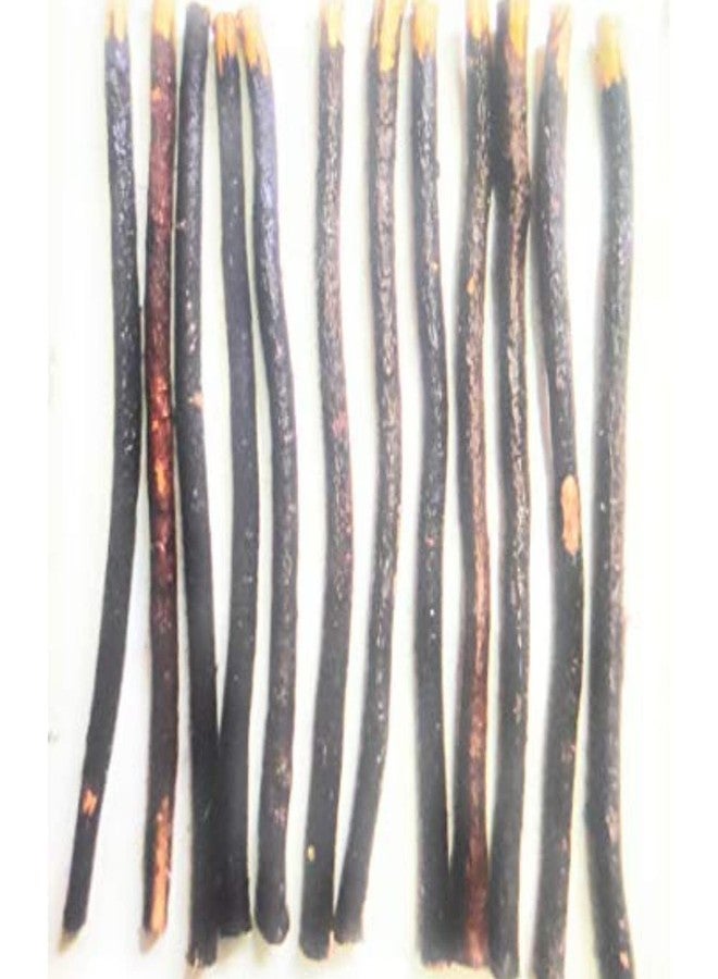 Olive Natural Tooth Brush 6 Miswak Sticks Family Pack (Tree Name Wild Olive) Aswad Miswak or Zaitoon Siwak Healthy WHITE TEETH Product - Image 2