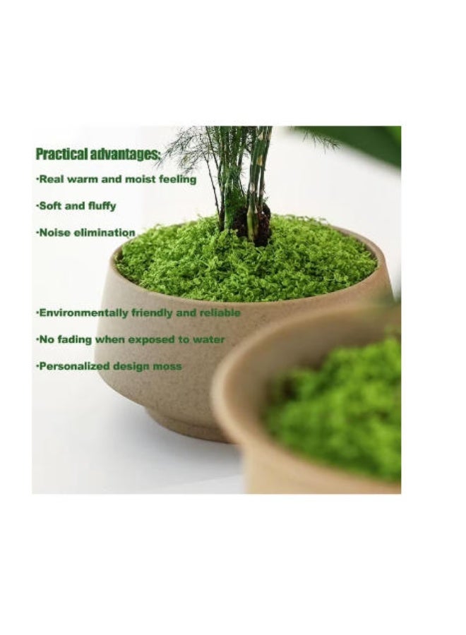 LATEEN Artificial Moss for DIY Crafts & Home Decor – Realistic Fake Green Moss for Potted Plant Decoration, Floral Arrangements & Creative Projects 100gram - Image 3