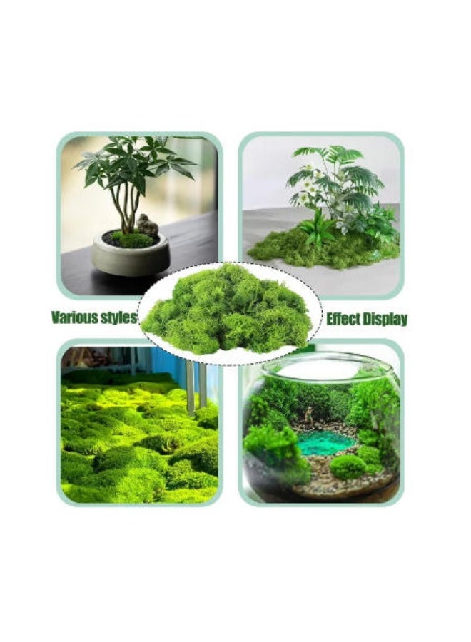 LATEEN Artificial Moss for DIY Crafts & Home Decor – Realistic Fake Green Moss for Potted Plant Decoration, Floral Arrangements & Creative Projects 100gram - Image 2