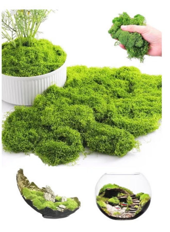LATEEN Artificial Moss for DIY Crafts & Home Decor – Realistic Fake Green Moss for Potted Plant Decoration, Floral Arrangements & Creative Projects 100gram - Image 1