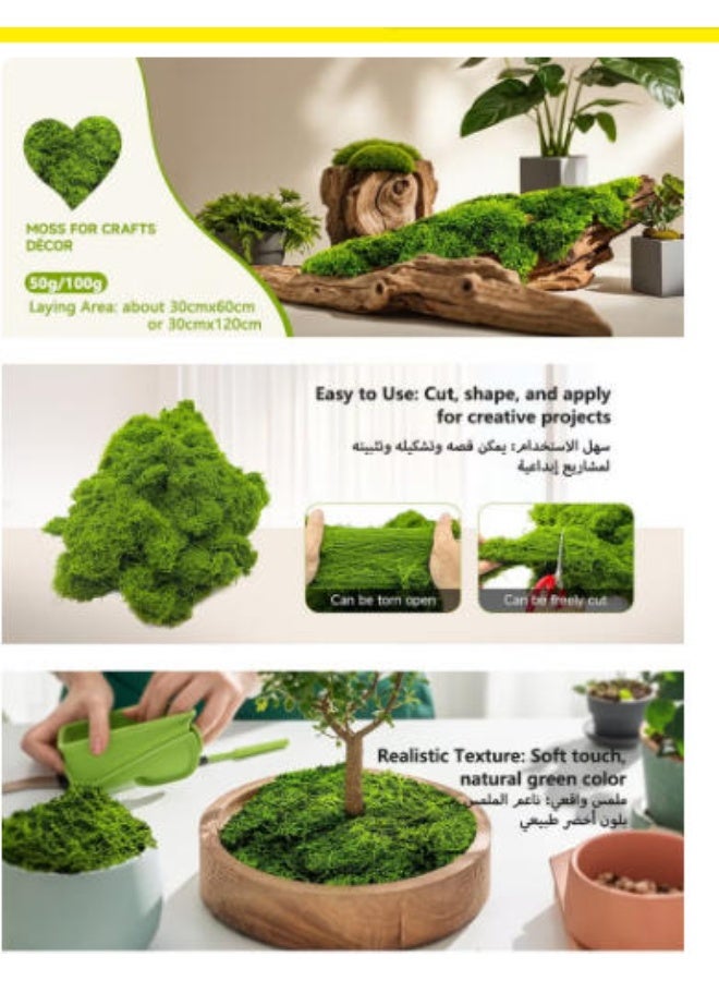 LATEEN Artificial Moss for DIY Crafts & Home Decor – Realistic Fake Green Moss for Potted Plant Decoration, Floral Arrangements & Creative Projects 100gram - Image 5