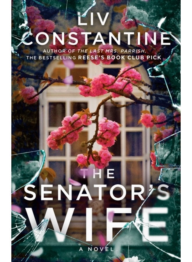 The Senator s Wife A Novel - Paperback