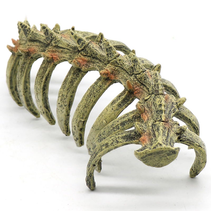 relaqcc Aquarium Skull Animal Skeletons, Reptile Tank Accessories, Fish Tank Decorations for Amphibians, Betta Fish, Shrimp, Hermit Crab, Leopard Gecko - Image 1