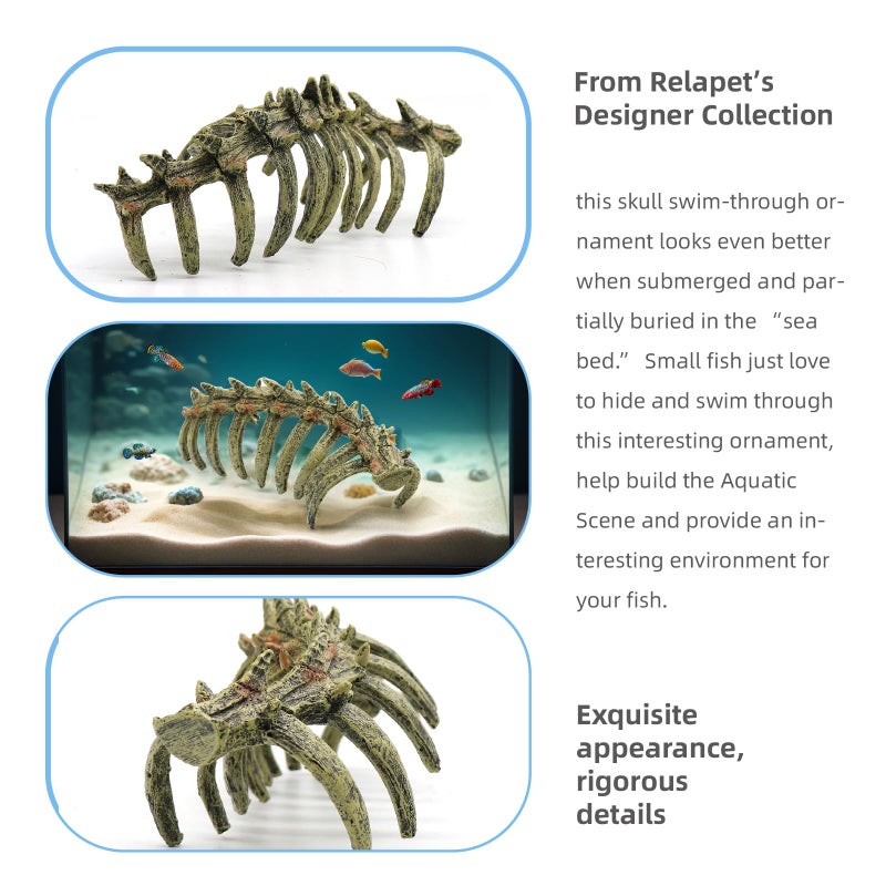 relaqcc Aquarium Skull Animal Skeletons, Reptile Tank Accessories, Fish Tank Decorations for Amphibians, Betta Fish, Shrimp, Hermit Crab, Leopard Gecko - Image 5