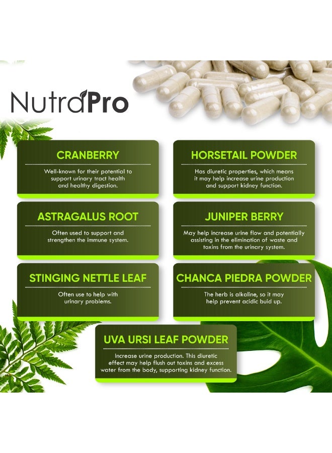 نوترا برو تنظيف وإزالة سموم الكلى ودعم المثانة - مكمل لدعم الكلى وترميمها مع عشبة تشانكا بيدرا (Chanca Piedra) والتوت البري (Cranberry) وتوت العرعر (Juniper Berries) لإزالة السموم وصحة المثانة. يكفي لمدة 60 يومًا. - Image 2