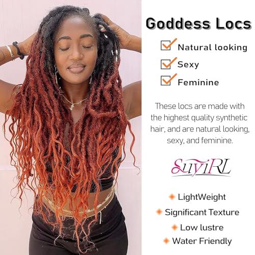 SuyiIRL Faux Locs Crochet Braid Hair Bohemian Locs 24 Inches Synthetic Dreads Ombre Braiding Hair Afro Dreadlock - Image 5
