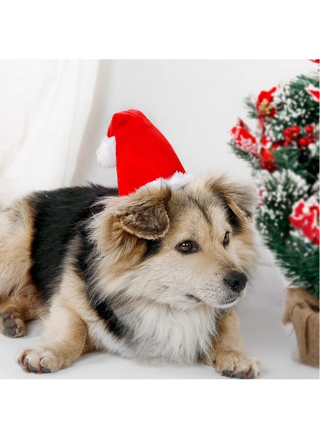 Wiz BBQT - Adjustable 3D Christmas Santa Hat for Dogs Cats (Small) - Image 1