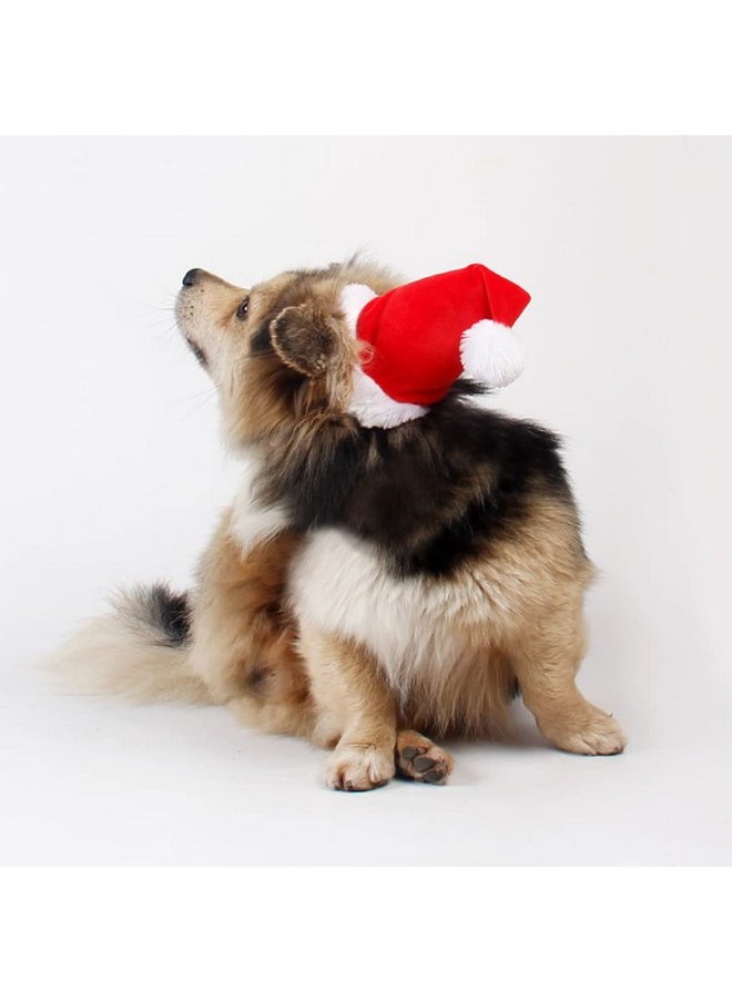 Wiz BBQT - Adjustable 3D Christmas Santa Hat for Dogs Cats (Small) - Image 1