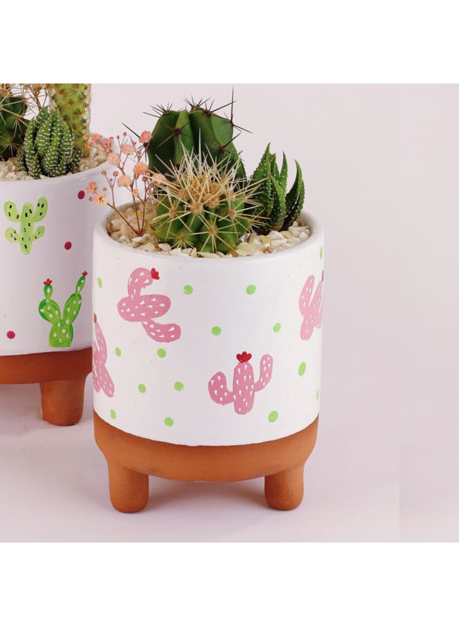 Cactus pottery pot