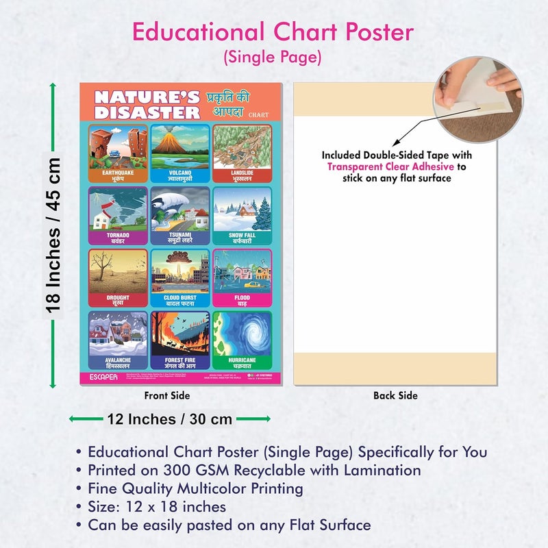 ESCAPER Nature's Disaster Educational Charts, (11.5 x 17.5 inches), 300 GSM Paper, Laminated, Self Adhesive Back, Kids Study Material, Learning Posters, Perfect For Home Schooling, Nursery Students - Image 3