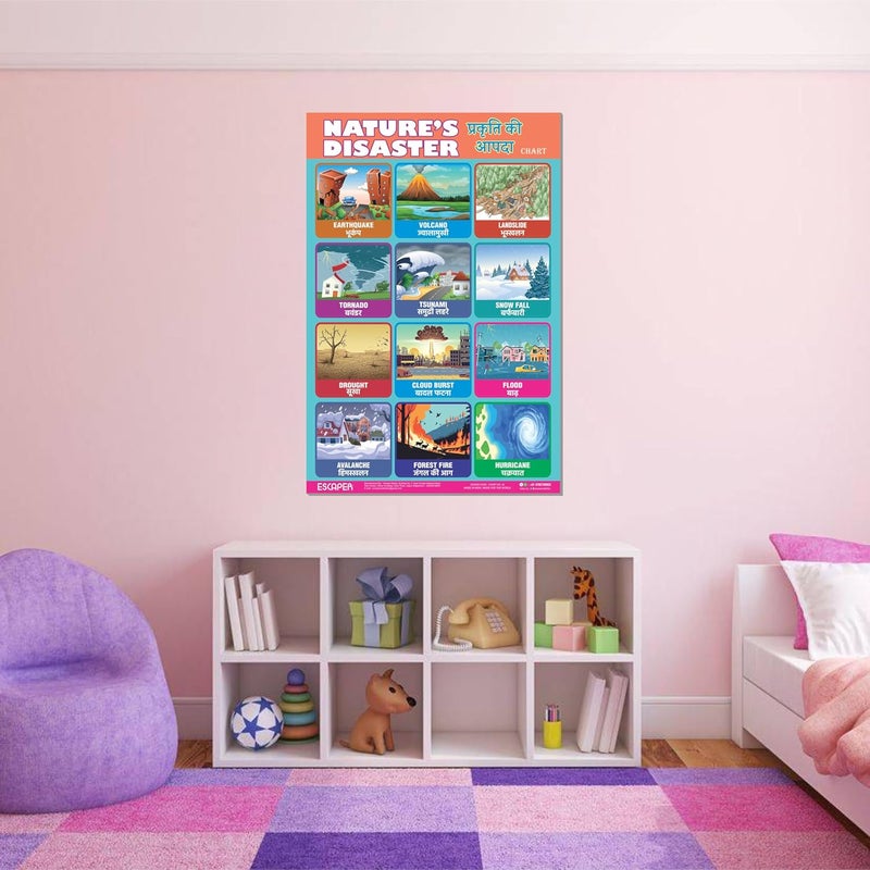 ESCAPER Nature's Disaster Educational Charts, (11.5 x 17.5 inches), 300 GSM Paper, Laminated, Self Adhesive Back, Kids Study Material, Learning Posters, Perfect For Home Schooling, Nursery Students - Image 5