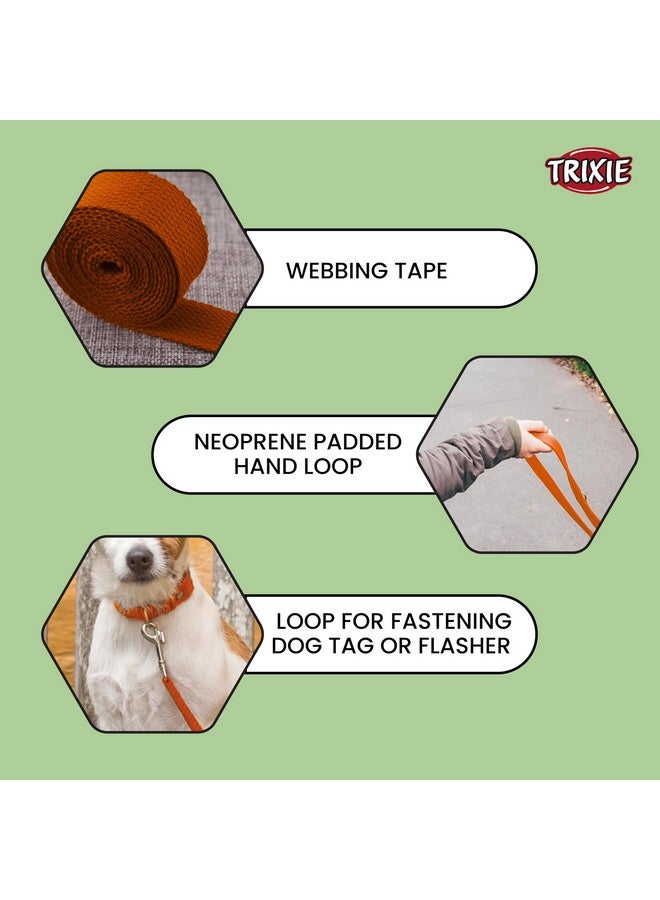 تريكسي مقود كلب ممتاز طويل للغاية مع حلقة يد مبطنة، يناسب: الكلاب الصغيرة جدًا، أقل من 10 كجم (تشيهواهوا، بودل توي، شيه تزو، باج)، 6 أقدام/10 مم (XS، بابايا) - Image 3