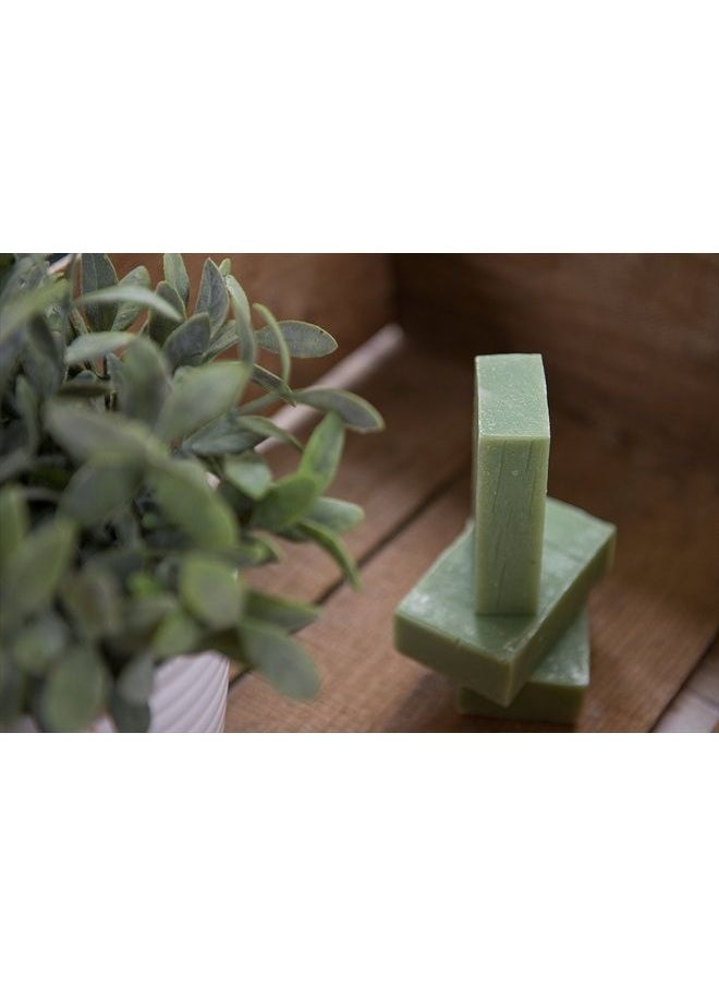 Eucalyptus Spearmint Soap Bar (4Oz) - Handmade Soap Bar with Refreshing Mint, Eucalyptus and Essential Oils- Organic and All-Natural – by Falls River Soap Company