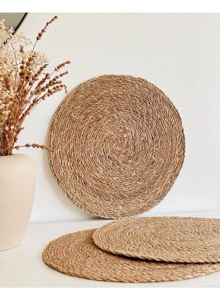Classic Hand Braided Tea Coaster for Dining Table, Bedside Table, Chutney Coaster, Decorative Mat (Round, IR  - Image 3