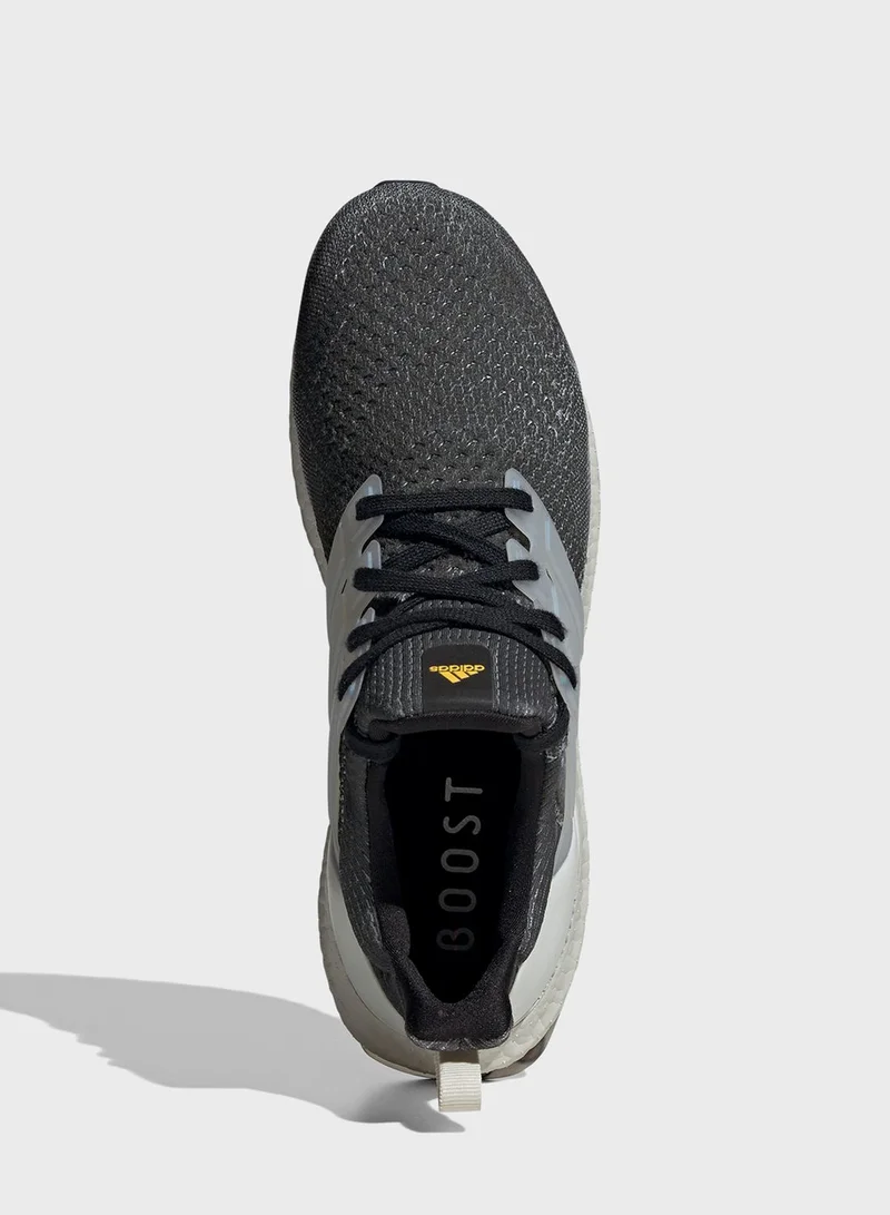 Adidas Ultraboost 1.0 Mira