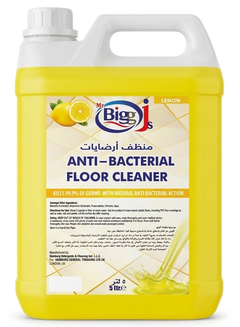 Mr. Bigg J's Anti Bacterial Floor Cleaner Lemon 5L - Image 1