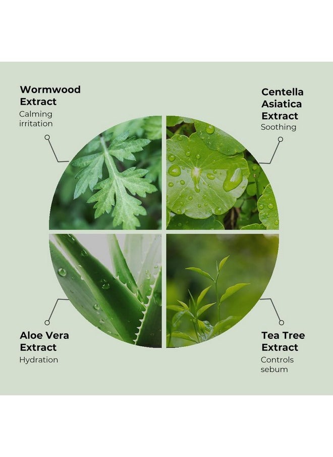 Fraijour - Original Herb Wormwood Sheet Mask 5Ea 23Ml / 0.78 Fl. Oz. - Image 1