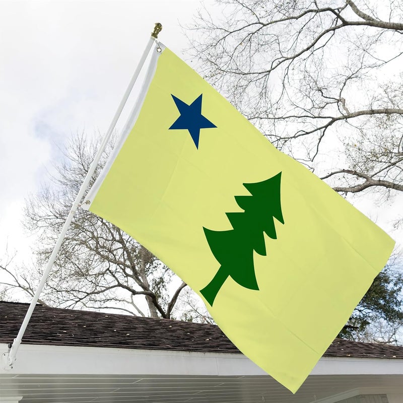 ARSOF Original Maine State Flag 3x5ft Double Sided Outdoor 1901-1909 Original Maine Flag Heavy Duty Vivid Colors State Flags 3 Ply with Durable Canvas Header and Brass Grommets - Image 2
