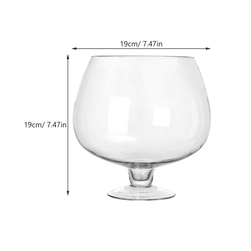 BESPORTBLE Glass Fish Bowl Vase - Clear Bubble Planter Terrarium Fish Bowl Wine Goblet Shaped Vase Transparent Hydroponic Bulb Floral Container - Image 4