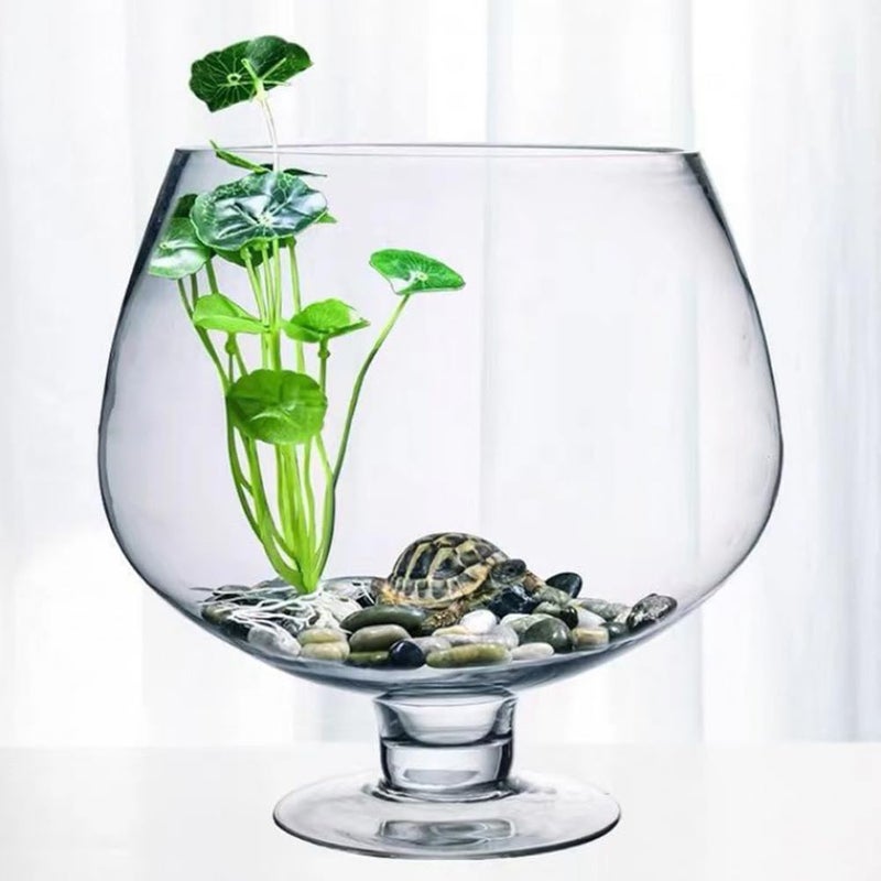 BESPORTBLE Glass Fish Bowl Vase - Clear Bubble Planter Terrarium Fish Bowl Wine Goblet Shaped Vase Transparent Hydroponic Bulb Floral Container - Image 1