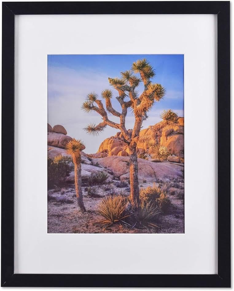 A PLUS MAX A PLUS MAX Poster Frames 20x24 Picture Frame with mat for 16x20 Picture with Polished Plexiglass Horizontal and Vertical Formats with Included Hanging HardwareBlack 