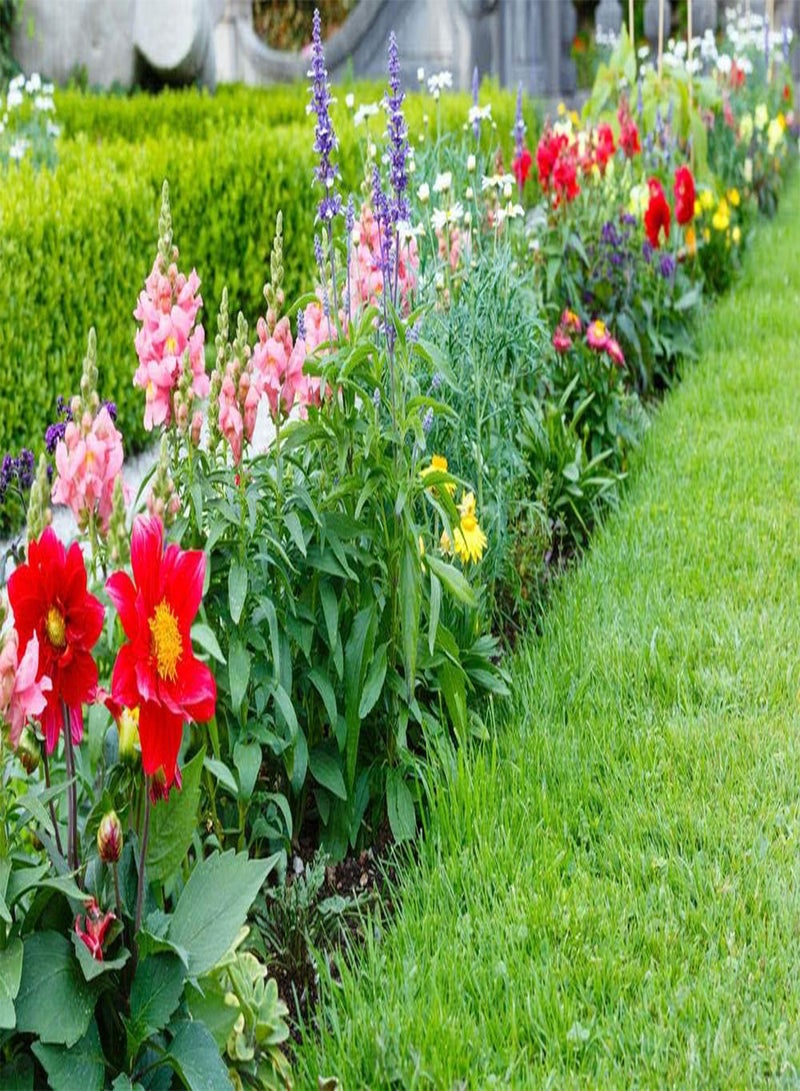GGOOT The Bees Knees Wildflower Seeds Mixed, Wild Flower Seeds for Planting (2 Ounces 150+ Seeds)  - Image 4