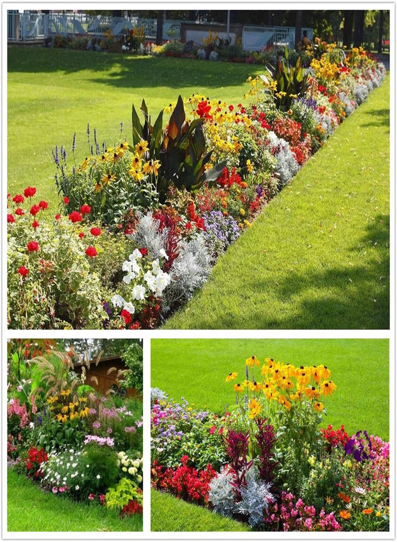 GGOOT The Bees Knees Wildflower Seeds Mixed, Wild Flower Seeds for Planting (2 Ounces 150+ Seeds)  - Image 1