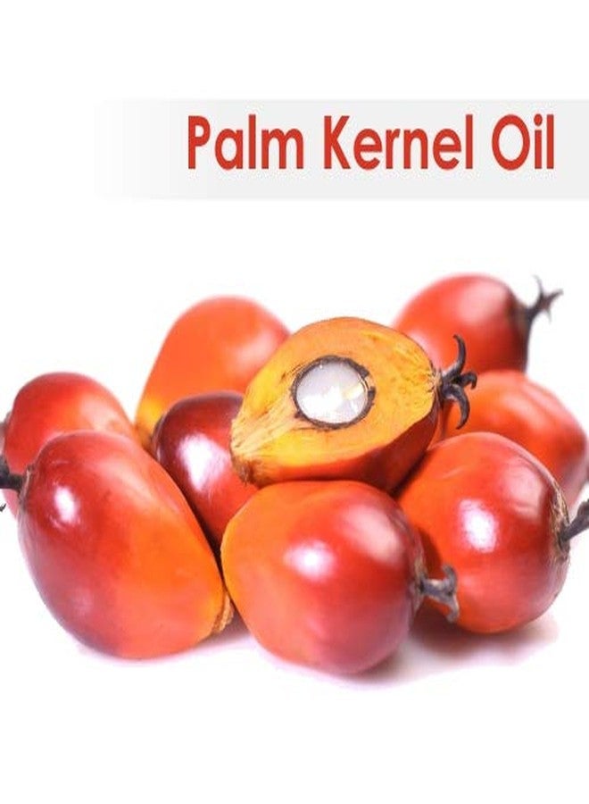 Salvia Palm Kernel Oil (Elaeis guineensis) Carrier Oil for Skincare, Haircare & Massage – Botanical Oil for DIY Formulations & Body Care – 100 ml / 3.38 fl oz - Image 1