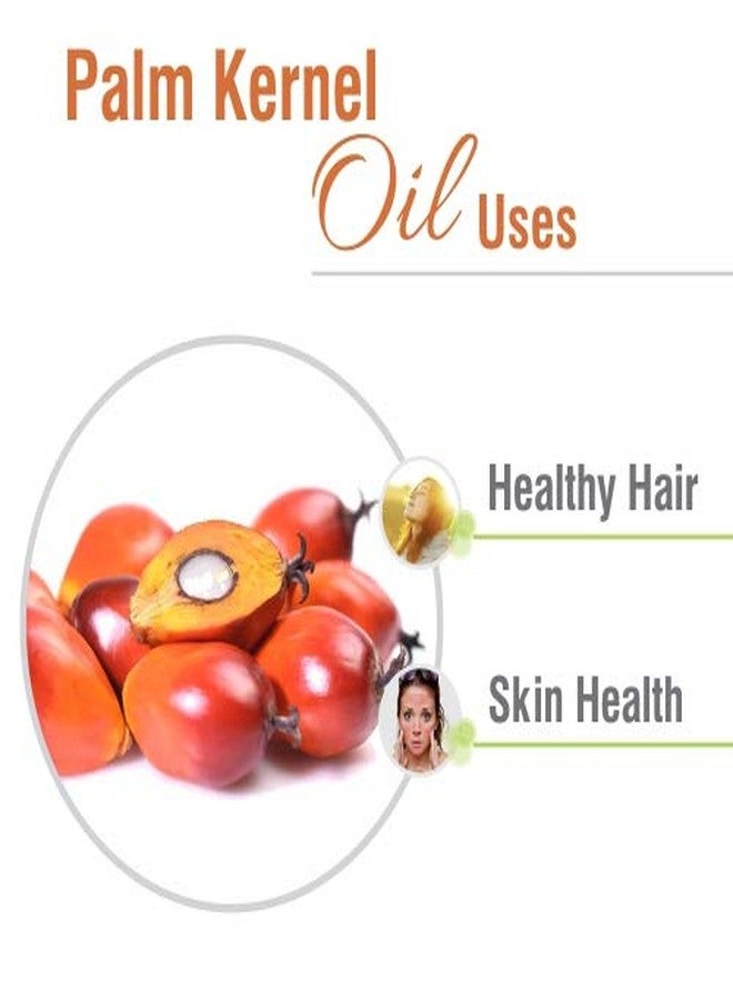 Salvia Palm Kernel Oil (Elaeis guineensis) Carrier Oil for Skincare, Haircare & Massage – Botanical Oil for DIY Formulations & Body Care – 100 ml / 3.38 fl oz - Image 2