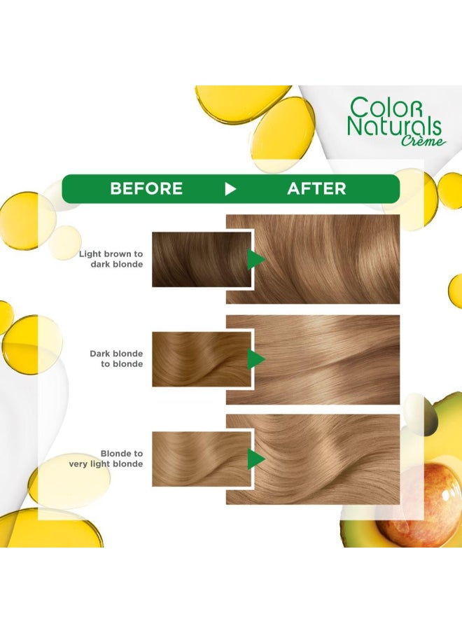 Garnier Color Naturals  8.11 Deep Ashy Light Blonde Permanent Hair Color  - Image 2