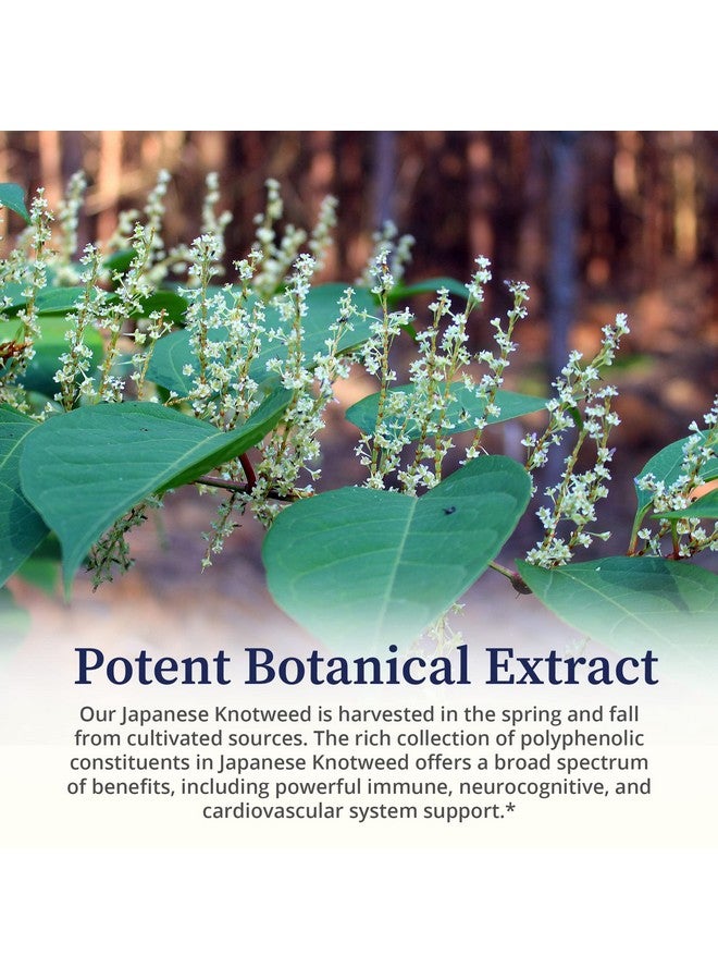 BioPure Japanese Knotweed Herbal Tincture - Potent Botanical Extract Rich in Polyphenols Including Resveratrol to Support Liver & Immune Function, Cellular Health, and Microbiome Balance - 2 fl oz - Image 5