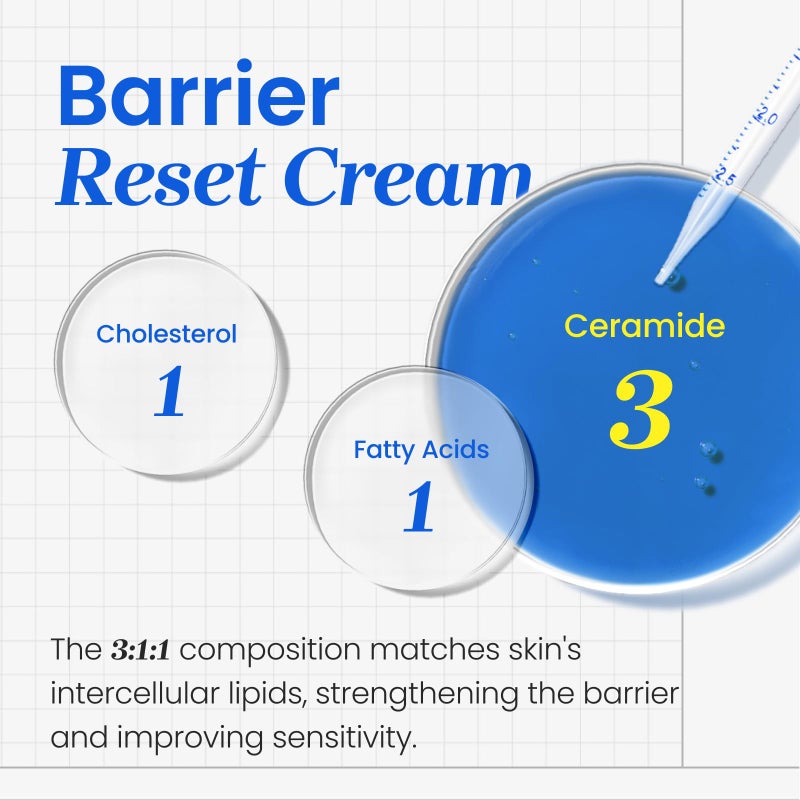 CNP Barrier Reset Cream - Deep Hydration, Strengthen Barrier, Ceramide, Suitable for Dry, Sensitive Skin, Korean Skin Care, 2.7 fl. oz. - Image 4