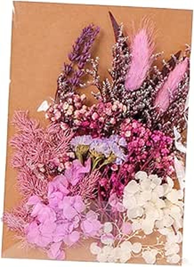 الزهور المجففة الطبيعية للحرف اليدوية ديكور المنزل مواد الزينة - Image 1