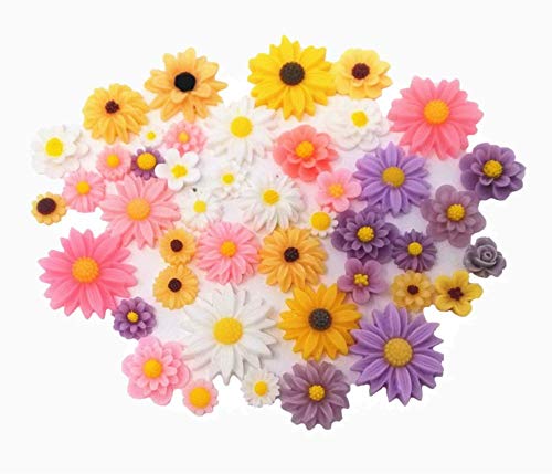 Honbay 44pcs Mix Color Lovely Daisy Flatback Charms Hair Clip Hairpin DIY Craft Jewelry Decoration Pieces - Image 1