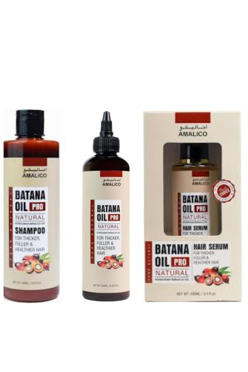 AMALICO Set Of 3 Pcs Batana Oil Pro Natural Hair Serum with Coconut, Jojoba, Castor and Argan Oil 100ml + Batana Oil Pro Natural Shampoo, Honduran Miracle Oil 500ml+Batana Oil Pro Natural Honduran Miracle 250ml
