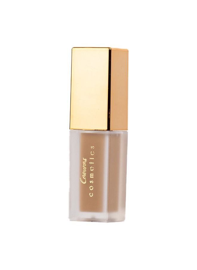 Canvas cosmetics Multitasker Concealer V 