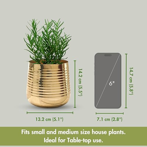BEHOMA Metal Ribbed Design Planter for Home Decor | Decoratives for Indoor Outdoor Balcony Living Room | Table Decorative Plant Pot | Size Height- 5.5" x Dia. 5" inch | Golden (Plant not Included) - Image 4