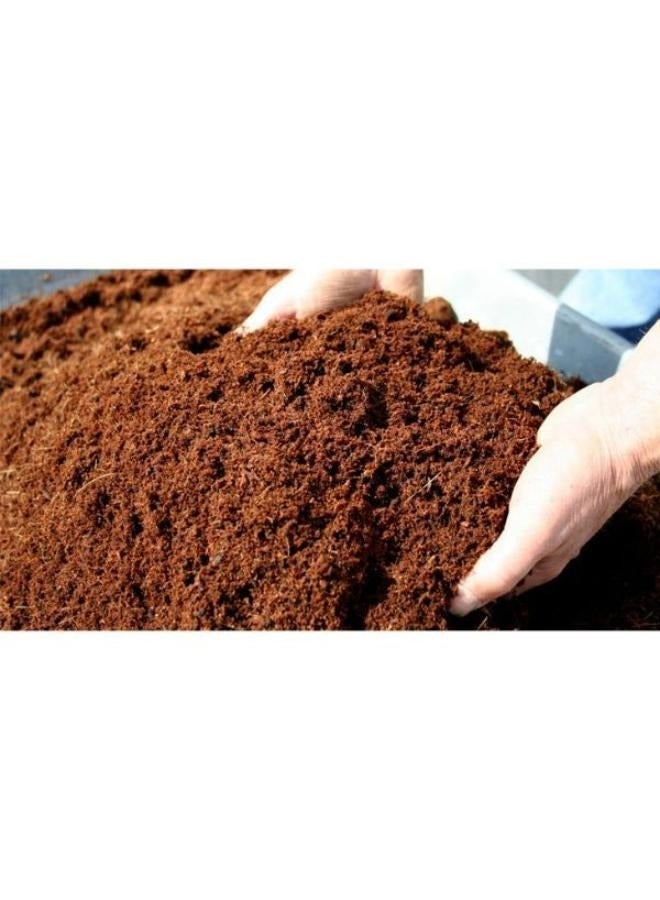 NomoyPet Substrate Natural coconut Fiber 5L - Image 2