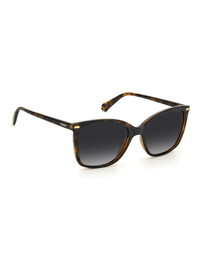 Polaroid Polaroid Sunglasses PLD 4108/S
