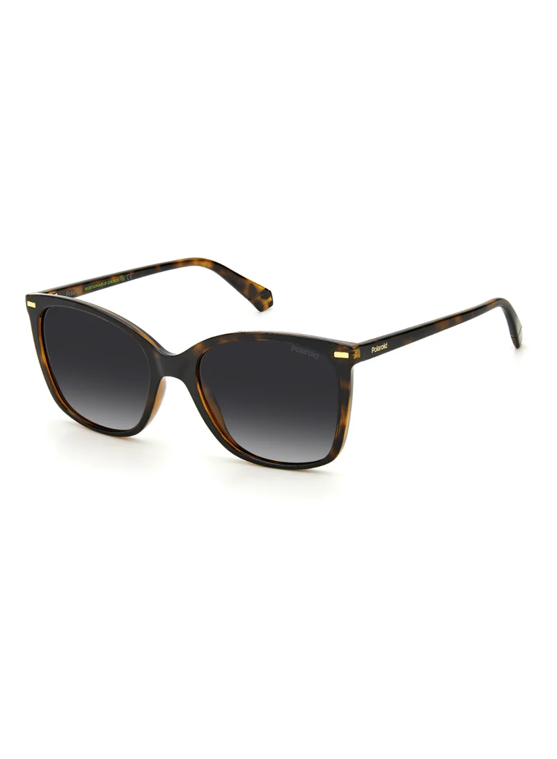 Polaroid Polaroid Sunglasses PLD 4108/S