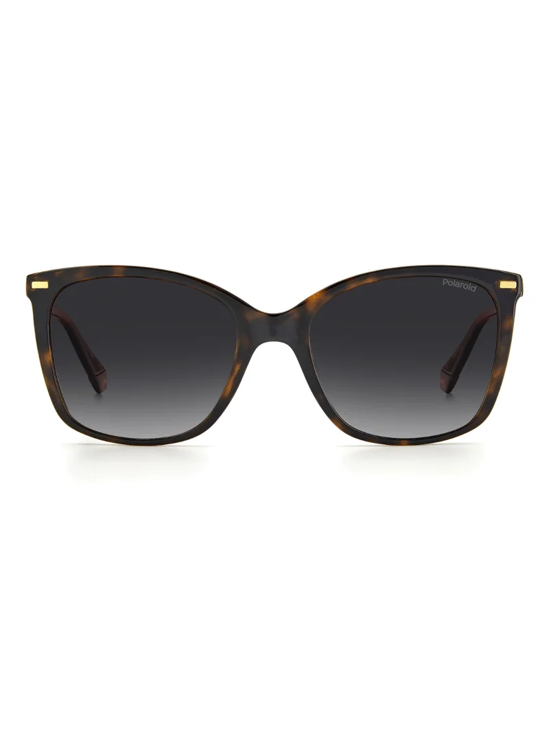 بولارويد Polaroid Sunglasses PLD 4108/S