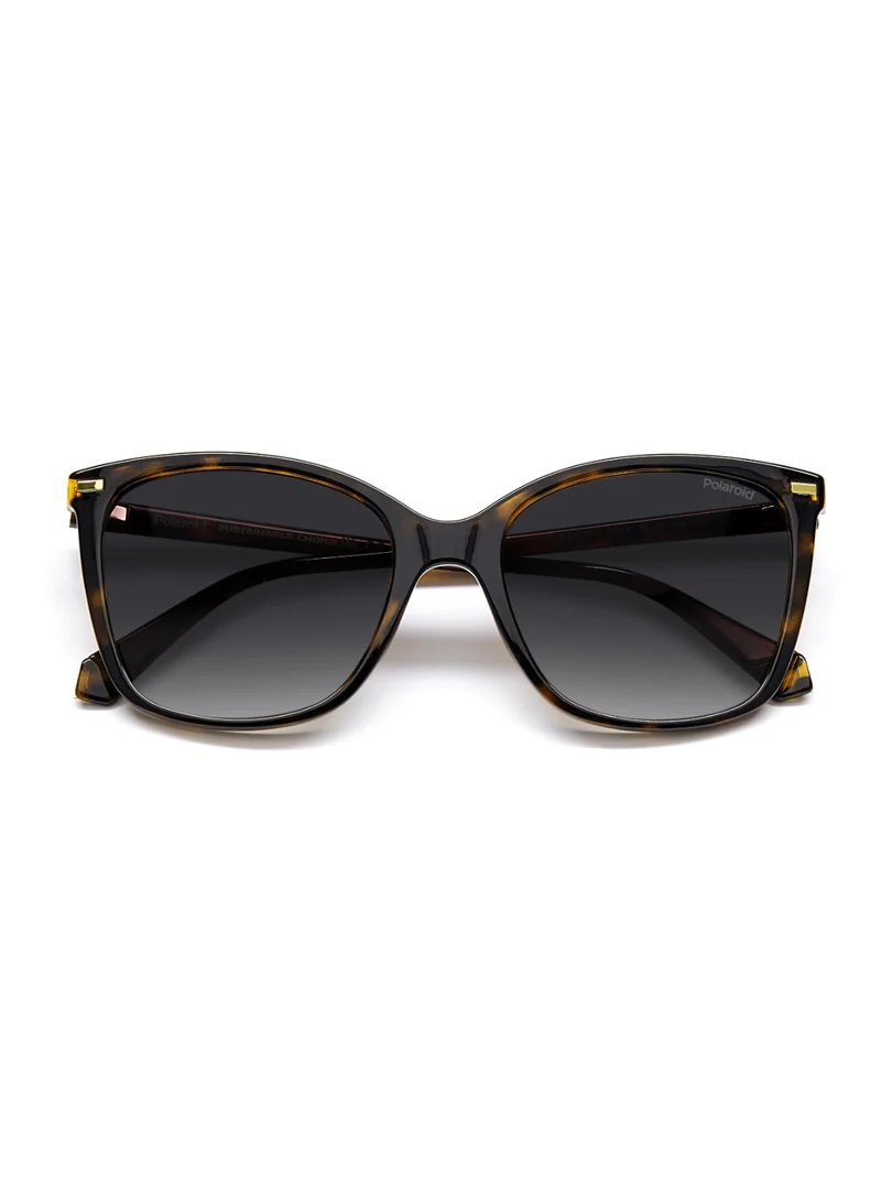 بولارويد Polaroid Sunglasses PLD 4108/S