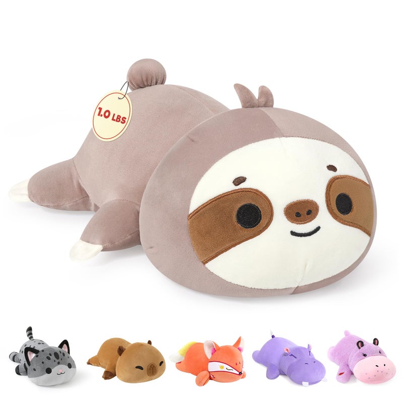 Onsoyours Original Weighted Sloth Plush, Cute Hugging Sloth Weighted Stuffed Animal, Soft Collectible Plushies Pillow Toy Gift for Kids & Adults (9.8", 1.0Lbs) - Image 1