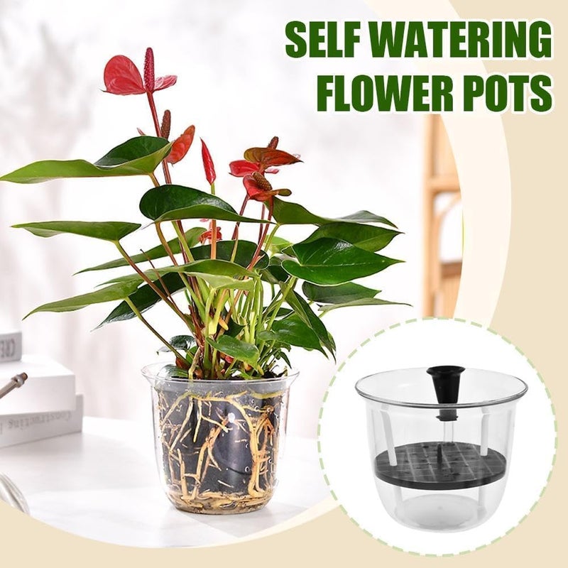 TERRIFI Self Watering Pots for Interior Plants - Self-Watering Planter for Easy Vegetation Care,Clear Plastic Bottom Sprinkle Planters for Indoor & Outdoor Botanic, Flowers (3Pcs, 4 Inch, Transparent) - Image 2