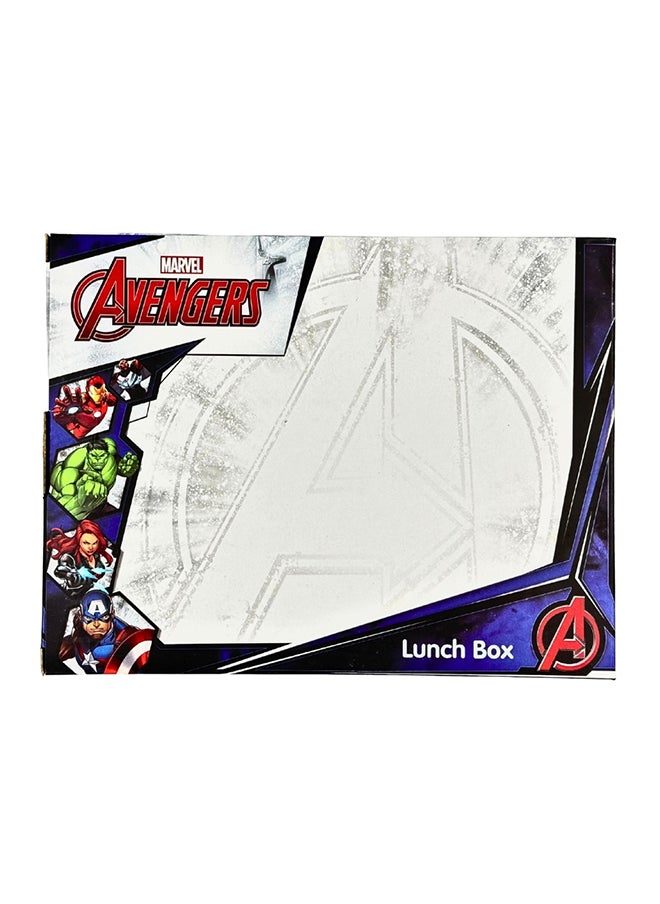 Avengers PP Lunch Box - pzsku/Z4919E4991B59C3302CBFZ/45/_/1720780984/1b443978-0709-4324-b7a9-f1c40d49d153