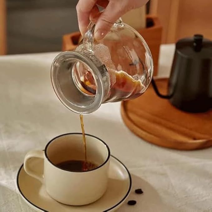 rayihni Borosilicate Heat Resistant Glass Coffee Server Pot For Pour Over Coffee Maker Hand Drip Coffee Jug Decanter 300 Ml - Image 5